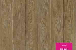 Линолеум Tarkett Triumph NOBLE OAK 3 фото  | FLOORDEALER